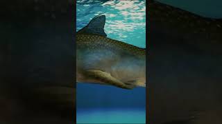 Helicoprion a marine superpredator documentary history earth predator [upl. by Harrad10]