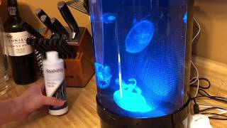 Moon Jellyfish Art Nano Tank  50 Percent Water Change [upl. by Nwahs905]