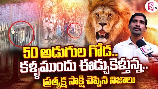 ప్రత్యక్ష సాక్షి చెప్పిన నిజాలు Lion in Tirupati Zoo Park  Lion Shocking Fact  SumanTV [upl. by Aleik]