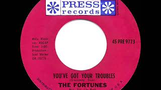 1965 HITS ARCHIVE You’ve Got Your Troubles  Fortunes US 45 single version [upl. by Sadira]