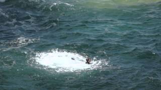 Tombstoning at Thornwick Bay nr Flamborough  Massive Kahunas [upl. by Drarreg580]