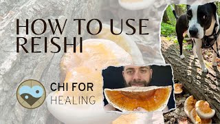 How To Use Reishi Mushrooms After Harvesting [upl. by Aihgn]