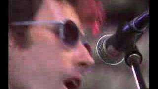 Andrew Bird  quotFake Palindromesquot  Live at Bonnaroo [upl. by Glyn224]