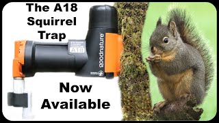 The A18 Squirrel Trap Is Now Available In The United States Mousetrap Monday [upl. by Netsuj896]