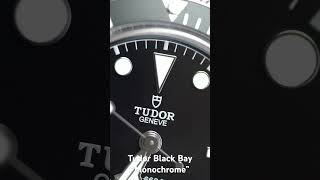 The new Tudor Black Bay quotMonochromequot gets so much right tudorwatches [upl. by Janifer]