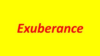 Advanced English Vocabulary 12  Exuberance  New 2024 [upl. by Lowis]