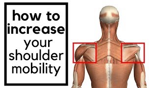 How to increase your shoulder mobility  Teres Major stretch [upl. by Xaviera]