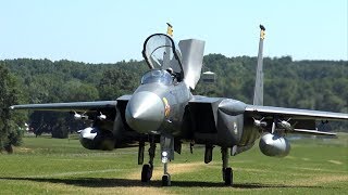 Awesome F15 Eagle at Joe Nall 2017 [upl. by Aili471]