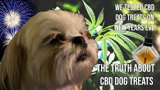 The Truth About CBD Dog Treats  NYE 2021 with Fireworks and CBD Treat Test  Do They Really Work [upl. by Savina]