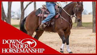 Clinton Anderson How to Get Your Horse to Go Forward  Downunder Horsemanship [upl. by Malarkey]