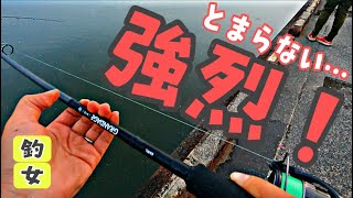 【シーバス】釣りに行ったら鳴り止まないドラグ。やばかった！ [upl. by Sikko]