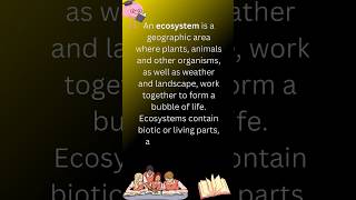 Ecosystem definition ecosystem meaning ecosystem biologicalorganization youtubeshorts [upl. by Davida102]