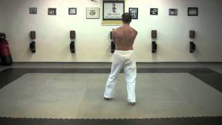 Uechi Ryu Sanchin Kata by Master Ryan Dean [upl. by Anilegnave159]