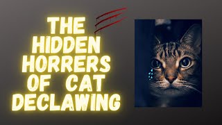 The Hidden Horrors of Cat Declawing [upl. by Brick]