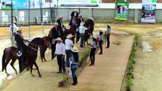 Resultado potros trotones en La Mesa Cundinamarca [upl. by Ecilahc]