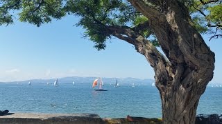 Der BodenseeRadweg Alle Infos zum Radweg und zu den Attraktionen am Bodensee [upl. by Gabriello56]