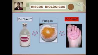 Videoaula 26 Riscos Biológicos  Parte 1 – Introdução [upl. by Juback417]