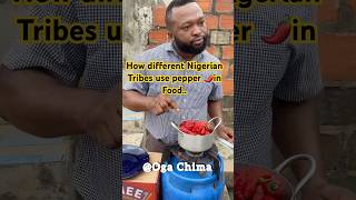 How different Nigerian Tribes use pepper🌶️in food viralvideo funny food youtubeshorts [upl. by Sabah]