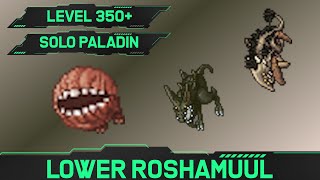 Lower Roshamuul  Solo Paladin Hunt 350 [upl. by Hugon386]