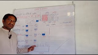 G 6ScienceChapter 5Different process changes in matter state [upl. by Kreis132]