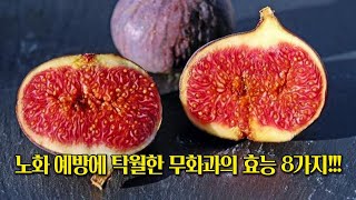 노화 예방에 탁월한 무화과의 효능 8가지 [upl. by Rozelle]