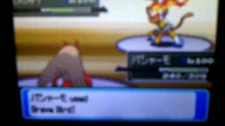 Blaziken vs Infernape [upl. by Maryanna]