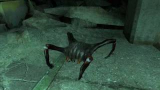 Half Life 2  Black Headcrab Sounds [upl. by Nalani]