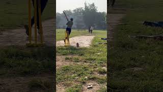 Big shots 🏏 battingstyle sixers shotsvideo [upl. by Brnaby542]