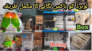 How to installation Lovebirds box  Lovebirds ko box kaise diya hai breeding k liye tyar Box [upl. by Kramal]