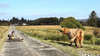 The Isle of Mull Research Trip [upl. by Winston468]