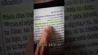 Los 10 mandamientos de Dios  Palabra de Dios [upl. by Reyotal]