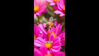 The Secret Life of Bees Natures Busy Workers [upl. by Aleekahs441]