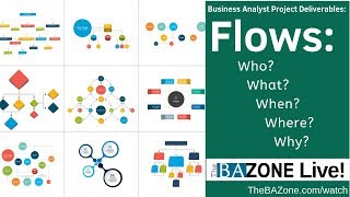 Flows Who What When Where Why  Business Analyst Project Deliverables [upl. by Druci]