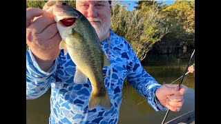 Bass Fishing on Sam Rayburn [upl. by Antipus510]