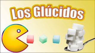 🔴 LOS GLÚCIDOS digestión absorción e introducción al metabolismo de la glucosa  Fisiología [upl. by Ozen421]