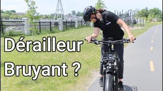 Ajuster Un Dérailleur Arrière Sur Un Vélo [upl. by Ogata]