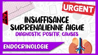 L’Insuffisance Surrénalienne Aigue Signes Cliniques et Paracliniques Causes Facteurs Déclenchant [upl. by Ahgem]