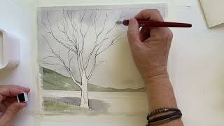 Painting a dead tree in watercolour [upl. by Galan]