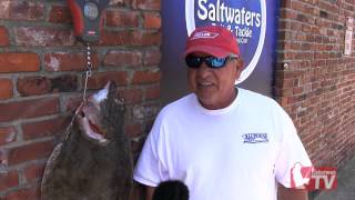 14lb Doormat Fluke Caught In Great South Bay NY [upl. by Rosenbaum4]