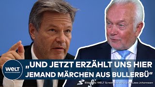 DEUTSCHE WIRTSCHAFT quotJeden Monat wird die Situation schlimmerquot  Kubicki schießt gegen Habeck [upl. by Izabel]