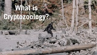 What Is Cryptozoology [upl. by Rhpotsirhc]