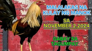 November 2 saturday malalakas na kulay ng manok [upl. by Ttelrahc]