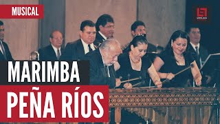 🇲🇽 🎼 Internacional Marimba Peña Ríos «Popurrí»  marimba para bailar  marimba chiapaneca [upl. by Ynnol]