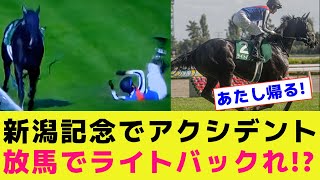 【新潟記念】ハミ抜けでライトバック放馬 坂井瑠星騎手が緊急飛び降りで競走除外 [upl. by Wilkinson]