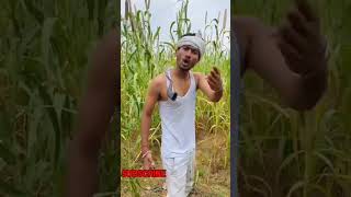 jao Delhi Mumbai Agra cal se Katega Hamara bajara  video Pasand Aaye To channel ko subscribe Karen [upl. by Jumbala]