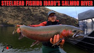 Steelhead Fishing Idahos Salmon River [upl. by Akemot]