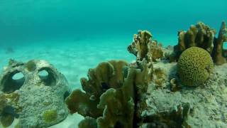 Snorkelen op Curacao Porto Marie [upl. by Cressida]