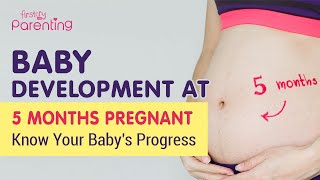 5 Month Pregnant  Know the Baby Development [upl. by Cestar]