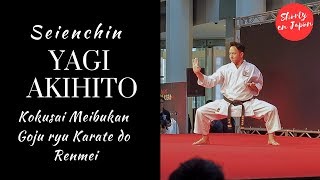 Yagi Akihito Sensei  Okinawa Karate Dai Enbukai Tokyo 2019 [upl. by Eirbua967]