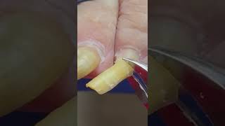 Satisfying Pedicure Video pedicure toenails [upl. by Spatz]